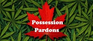 Possession-Pardons